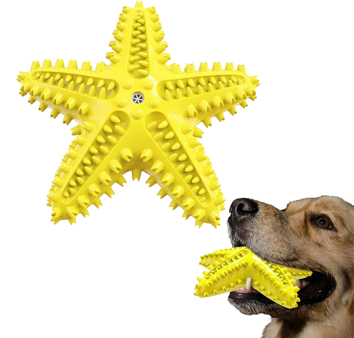 Juguete Estrella de Mar para Perros